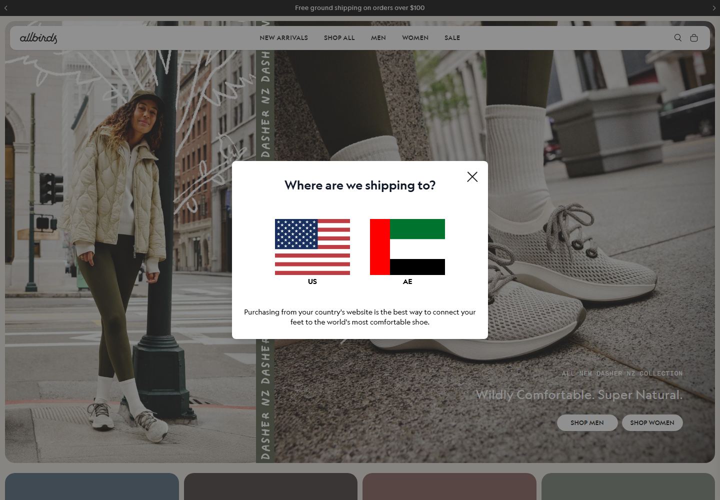 Homepage preview of Allbirds Sustainable Shoes