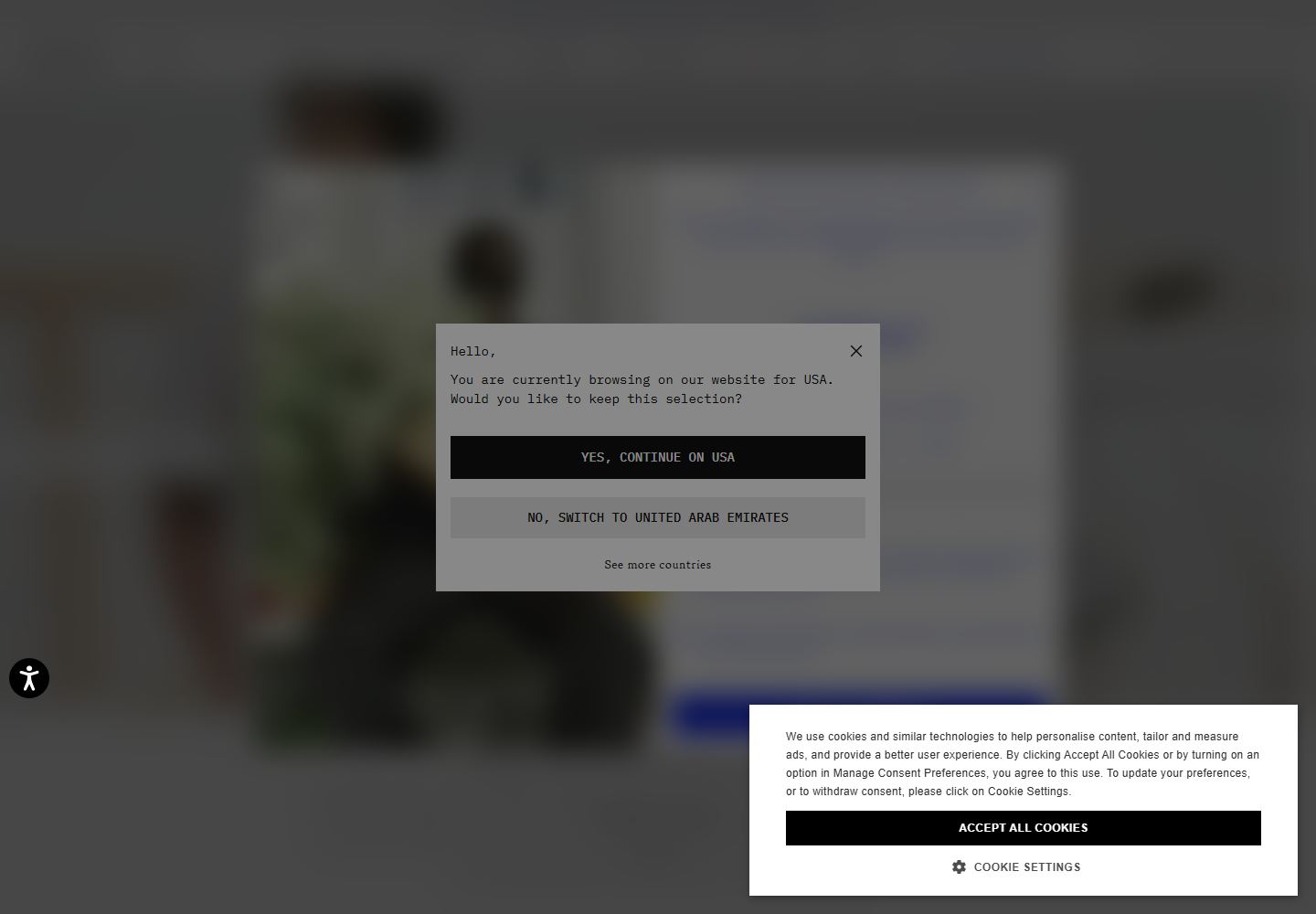 Homepage preview of Off-White Store